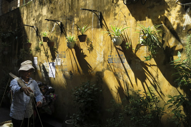 Bước v&agrave;o con phố cổ, xen lẫn bức tường r&ecirc;u phong l&agrave; rất nhiều m&agrave;u xanh của c&acirc;y hoa tạo n&ecirc;n kh&ocirc;ng gian như dịu lại, thư gi&atilde;n, trong khi b&ecirc;n ngo&agrave;i đầy kh&oacute;i bụi.