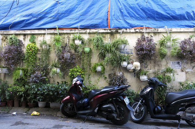 C&ograve;n đ&acirc;y l&agrave; ng&otilde; 3 phố Th&aacute;i H&agrave; (quận Đống Đa), một vườn treo với h&agrave;ng chục chậu c&acirc;y nhiều m&agrave;u sắc được người d&acirc;n tạo ra.