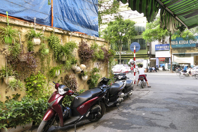 Nhiều người qua đường ch&oacute; biết họ cảm thấy rất dễ chịu, m&aacute;t mắt khi nh&igrave;n thấy những vườn treo nhỏ xinh n&agrave;y.