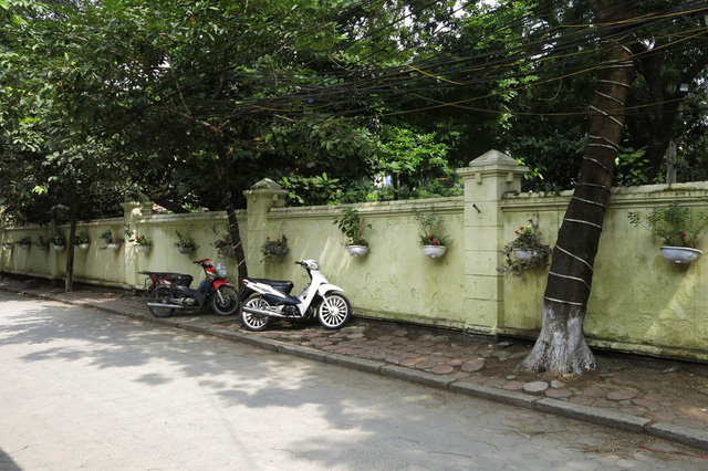 Ng&otilde; 250 phố Khương Trung (quận Thanh Xu&acirc;n), h&agrave;ng trăm chậu hoa được treo tr&ecirc;n bức tường k&eacute;o d&agrave;i gần hết ng&otilde;.