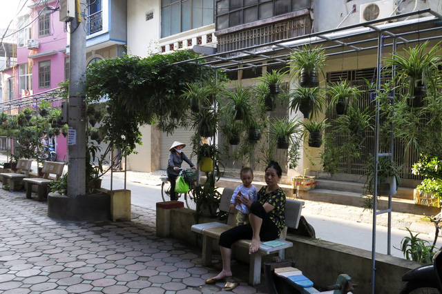 Tại khu vực ng&otilde; 167 phố Phương Mai (quận Đống Đa) cũng c&oacute; một vườn hoa treo xanh mướt. C&aacute;ch đ&acirc;y 2 năm, khu vực n&agrave;y l&agrave; một b&atilde;i r&aacute;c khi bị người d&acirc;n đổ phế thải v&ocirc; tội vạ.