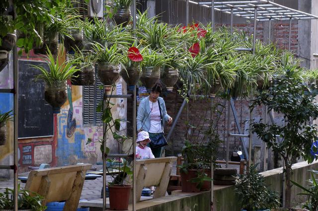 Nay cả một đoạn ng&otilde; k&eacute;o d&agrave;i h&agrave;ng trăm m&eacute;t với h&agrave;ng trăm chậu c&acirc;y tự chế được chăm s&oacute;c v&agrave; bảo vệ khiến cảnh quan m&ocirc;i trường thay đổi hẳn.