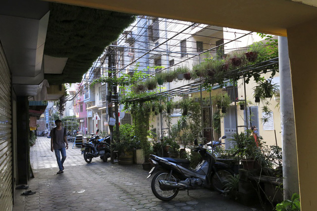 Nhiều người d&acirc;n ng&otilde; 167 c&ograve;n tự tạo ri&ecirc;ng c&aacute;c loại dụng cụ tưới chỉ để chăm s&oacute;c vườn hoa n&agrave;y.