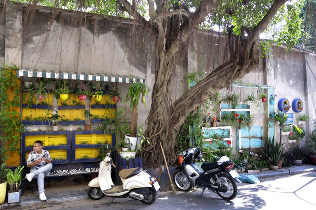 Từng mảng tường kh&ocirc;ng chỉ được trồng c&acirc;y cảnh, n&oacute; c&ograve;n được thiết kế nhiều m&agrave;u sắc trong kh&aacute; lạ mắt được l&agrave;m từ những vật liệu tận dụng như lốp &ocirc; t&ocirc;, gỗ vụn.