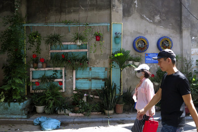 Những vườn treo nhỏ xinh, m&aacute;t mắt dọc ng&otilde; phố H&agrave; Nội