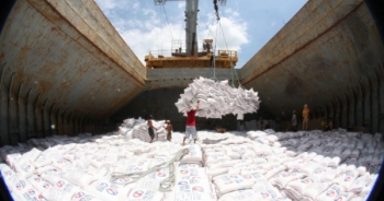 Kiến nghị bỏ điều kiện kinh doanh mua bán nợ, xuất khẩu gạo