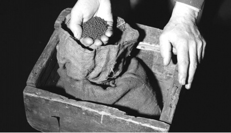 Khi c&aacute;c nh&acirc;n vi&ecirc;n đường sắt mở ni&ecirc;m phong kiểm tra, to&agrave;n bộ 91kg v&agrave;ng đ&atilde; biến th&agrave;nh ch&igrave;.