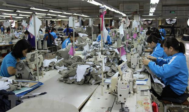 Người lao động v&agrave; người sử dụng lao động c&ugrave;ng phải c&oacute; tr&aacute;ch nhiệm đối ph&oacute; với nạn QRTD tại nơi l&agrave;m việc (ảnh minh họa)