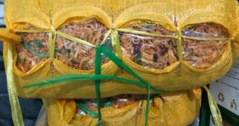 Quảng Bình thu giữ gần 600kg khô gà và bò không rõ nguồn gốc xuất xứ