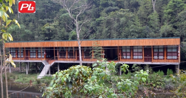 Xây dựng công trình “khủng” trái phép, Công ty Y học bản địa Việt Nam còn lấn chiếm đất rừng