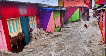 Những bức ảnh môi trường ấn tượng của năm 2019