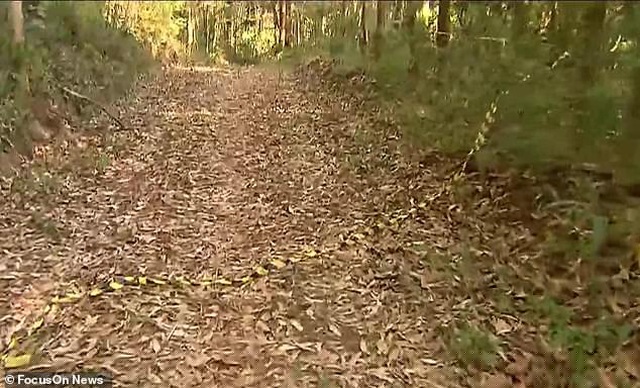 Địa điểm phát hiện xác cô bé tự kỷ