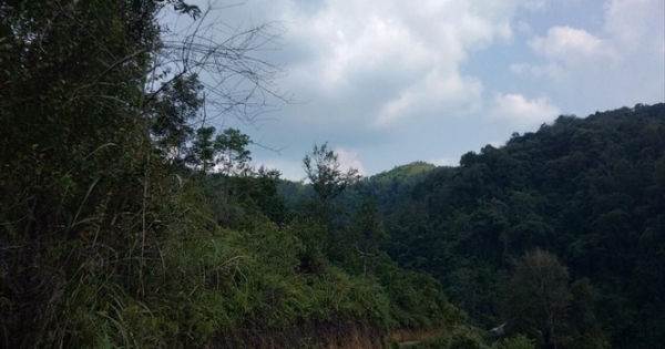 Lạng Sơn: Vì sao nguyên giám đốc văn phòng đăng ký đất đai huyện Gia Bình bị bắt?