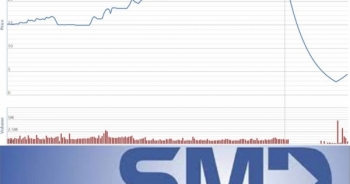 Cổ đông FTM, SMD Holdings, công ty chứng khoán và miếng gân gà trên bàn tiệc
