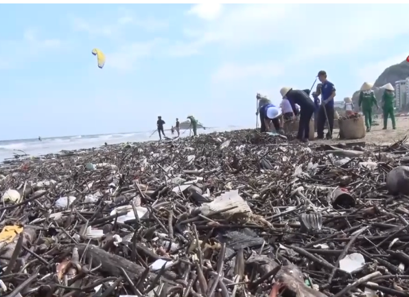 D2B886CA-C26F-457C-B798-22E2AE566654