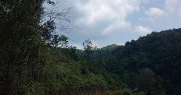 Một giám đốc Văn phòng đăng ký đất đai bị bắt tại Lạng Sơn