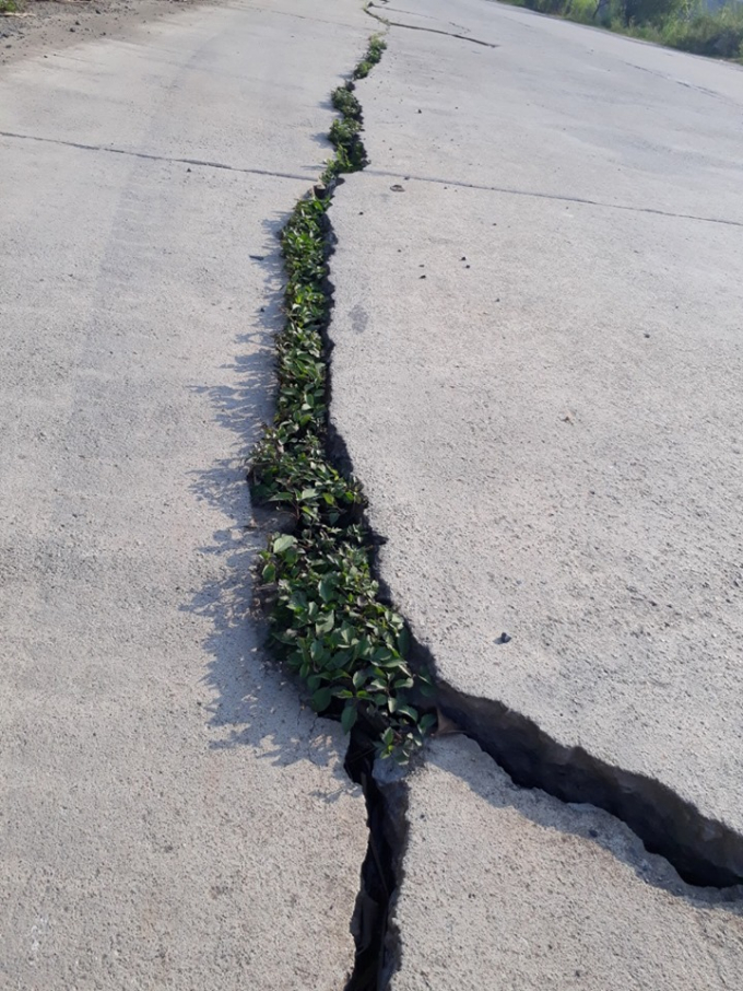 70952694_2529539750444456_3366815981342031872_n