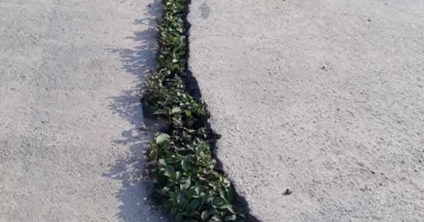 Đê Hoàng Long nứt toác vì sao?