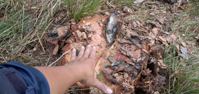 received_485377465378775.