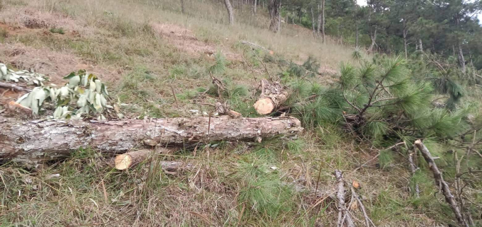 received_2153563054949102.