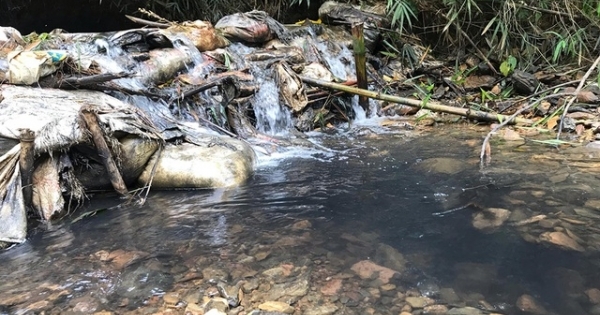 Tổng Giám đốc Viwasupco: Không có độc trong nước sạch sông Đà