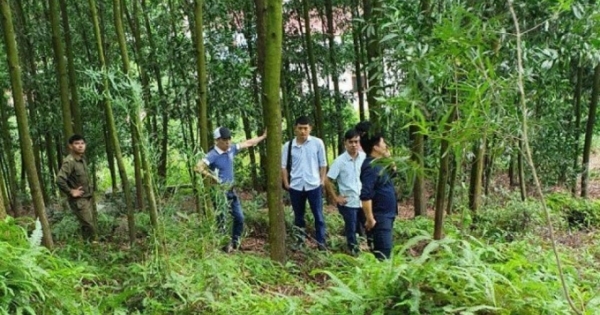 Bắc Giang: Phó chủ tịch UBND xã Nội Hoàng tử vong bất thường trên núi