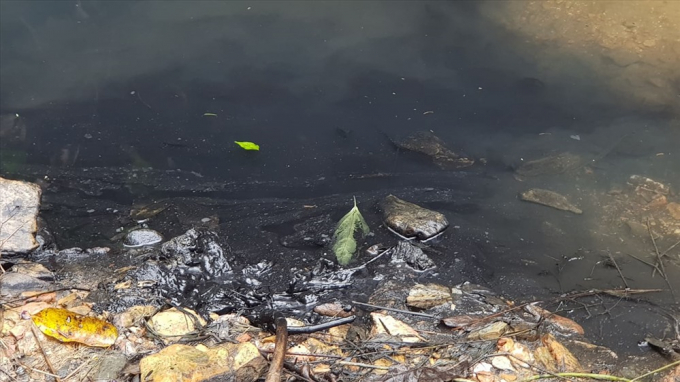 E6AF20E6-3B52-46A2-9768-CBA74847CCD6.