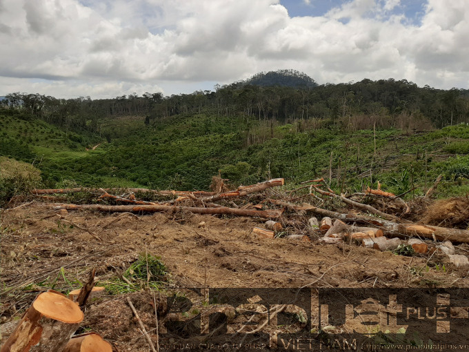 20190912_101653-1631