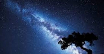 Đã tìm ra cách chế tạo điện từ... bóng đêm