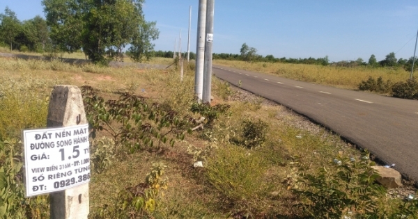 Bình Thuận: Người dân tự ý làm gần 2km đường nhựa để “tiện việc” phân lô bán nền đất