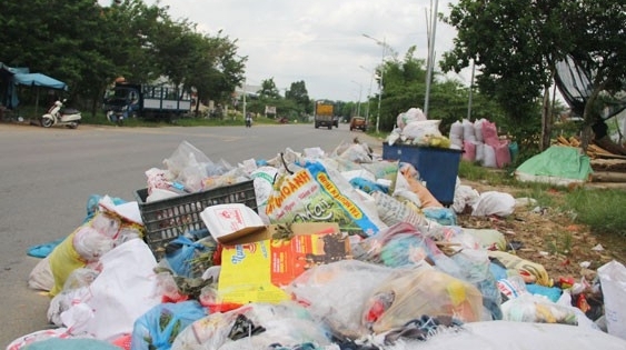 Khiếp đảm với rác