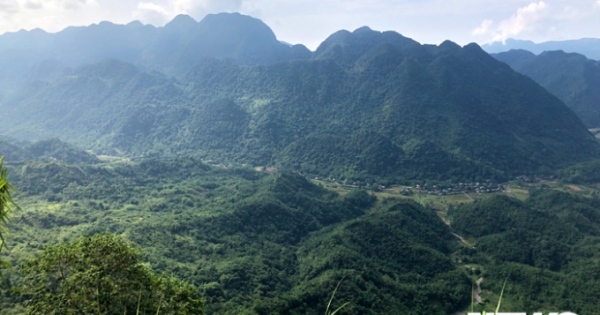 Bí ẩn ‘quái thú’ giết bò hàng loạt trong rừng Pù Luông khiến người Mường khiếp sợ