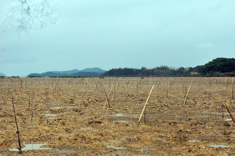 images1054863_20-1207