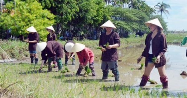 Bỏ ngỏ thế mạnh du lịch hướng về nông thôn?