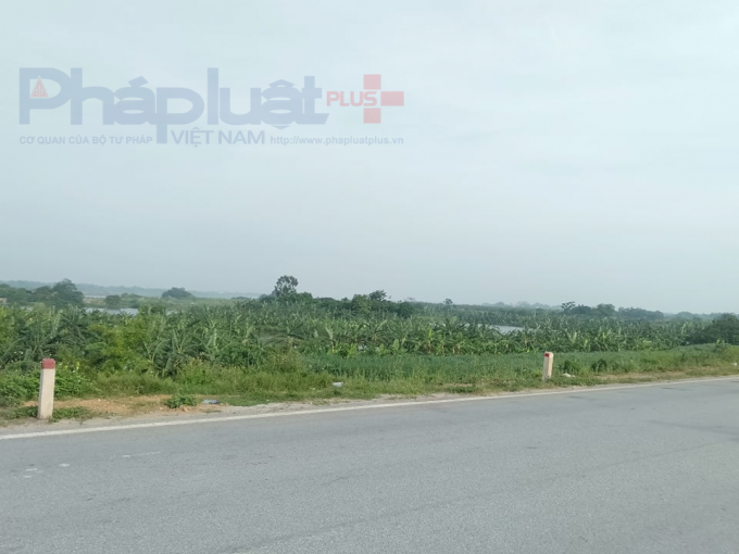 Dự án sân golf Sông Hồng tại các xã Hàm Tử, Dạ Trạch, Bình Minh (Khoái Châu, Hưng Yên) hiện nay vẫn là những cánh đồng mênh mông.