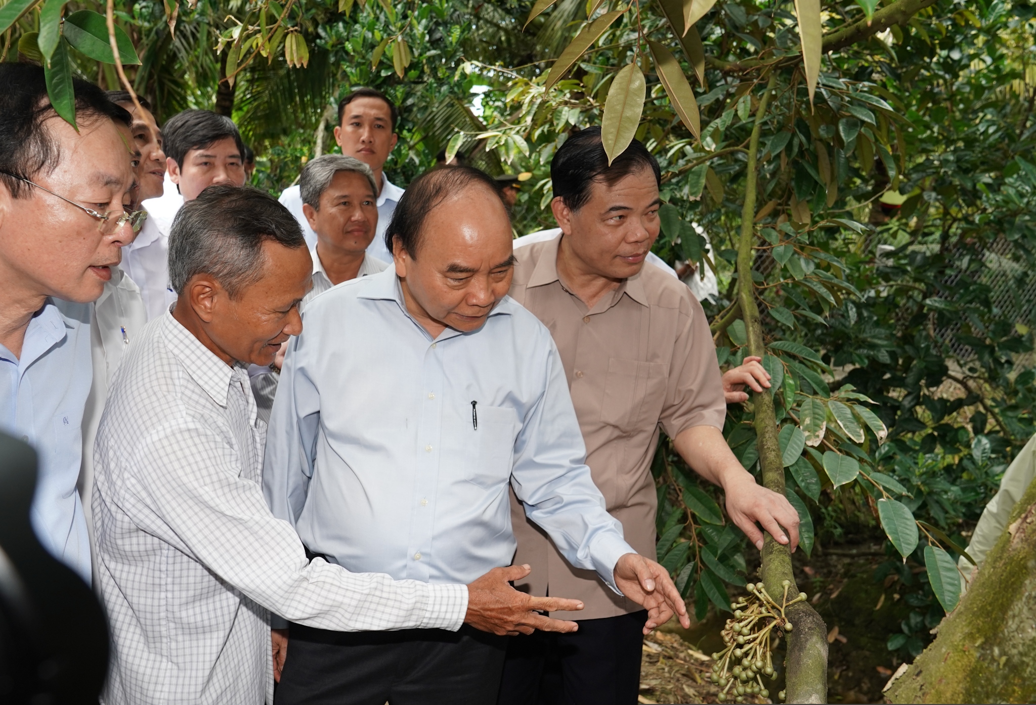 Mặc dù gặp nhiều khó khăn, thách thức do đại dịch Covid-19 gây ra, nhưng khu vực nông, lâm nghiệp và thủy sản đã thể hiện vai trò bệ đỡ của nền kinh tế, nông dân “được mùa, được giá”. - Trong ảnh: Thủ tướng Nguyễn Xuân Phúc thăm mô hình sản xuất sầu riêng “trái mùa nghịch vụ” tại xã Hiệp Đức, thị xã Cai Lậy, tỉnh Tiền Giang, ngày 23/9. Ảnh: VGP