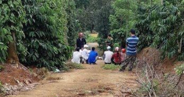 Tá hỏa phát hiện 3 cha con tử vong trong chòi rẫy ở Đắk Nông