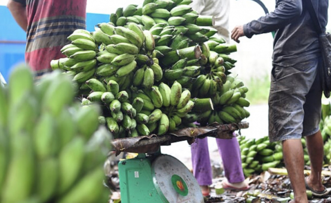 Can chuoi de xuat di