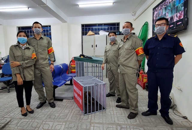 Sau 48 giờ lưu giữ tại phường, nếu không có chủ đến nhận, quận sẽ bàn giao chó cho Trung tâm động vật Hà Nội hoặc Học viện Nông nghiệp.