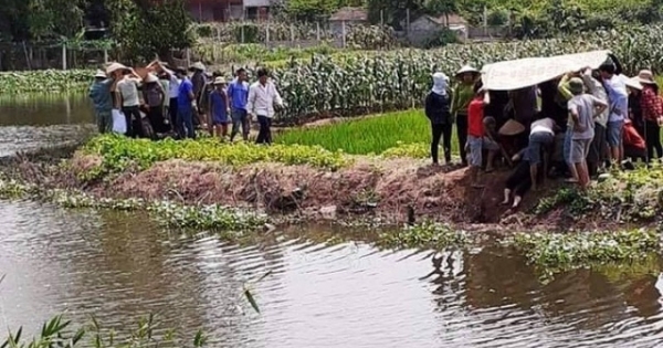 Theo mẹ và bà đi gặt lúa, hai cháu nhỏ ngã xuống ao đuối nước tử vong