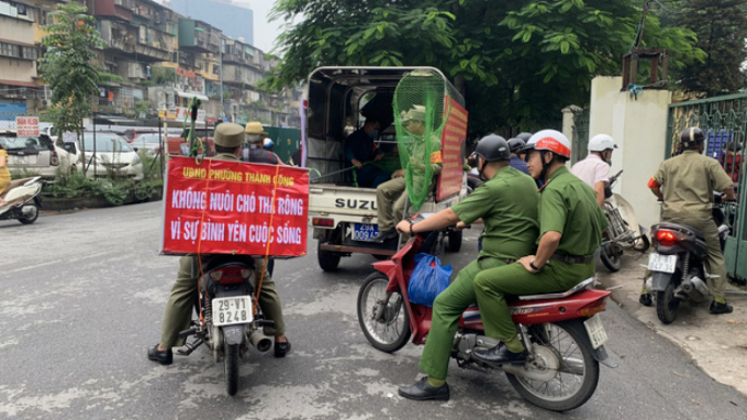 thanh-lap-to-phan-ung-nhanh-truy-bat-cho-tha-rong-noi-cong-cong-1706