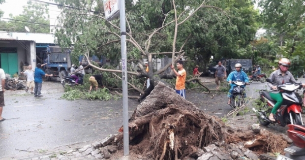 Đà Nẵng: Chuẩn bị các phương án ứng phó với áp thấp nhiệt đới trên biển Đông