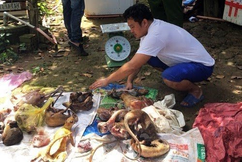 taynguyen_kimanh_5_htim-1714