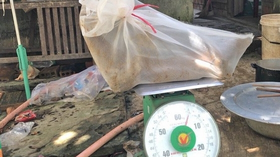 Bị phạt gần 300 triệu vì vận chuyển động vật quý hiếm