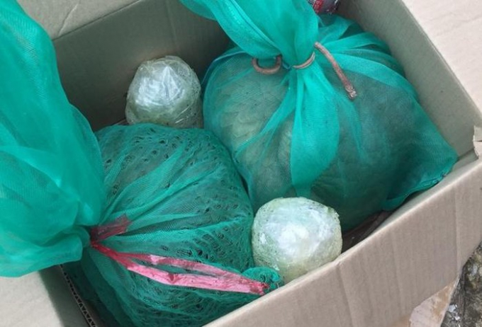 86a1848e79cd9093c9dc