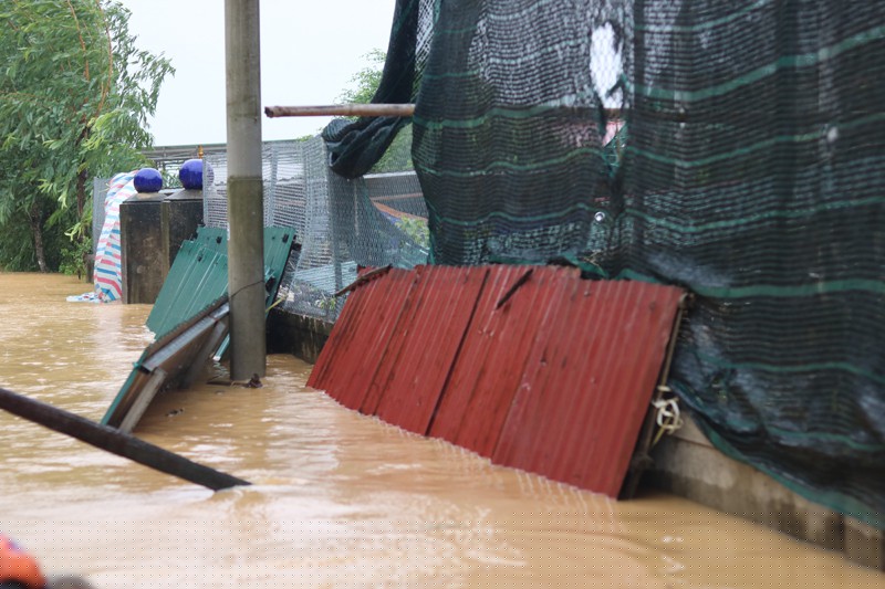  Nhiều hộ gia đình tại xã Tân Ninh, huyện Quảng Ninh vẫn nhập sâu