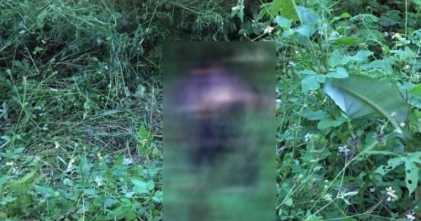 Yên Bái: Phát hiện thi thể nam thanh niên ở ven đường