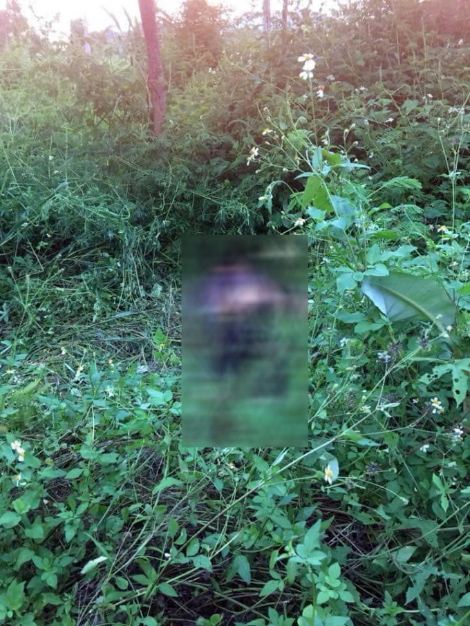 121228593_395458674781797_8439106642041924532_n