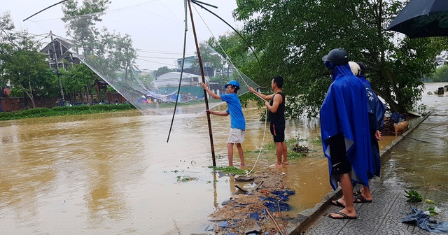 Rớ cá giữa dòng nước lũ ở đường Phan Chu Trinh