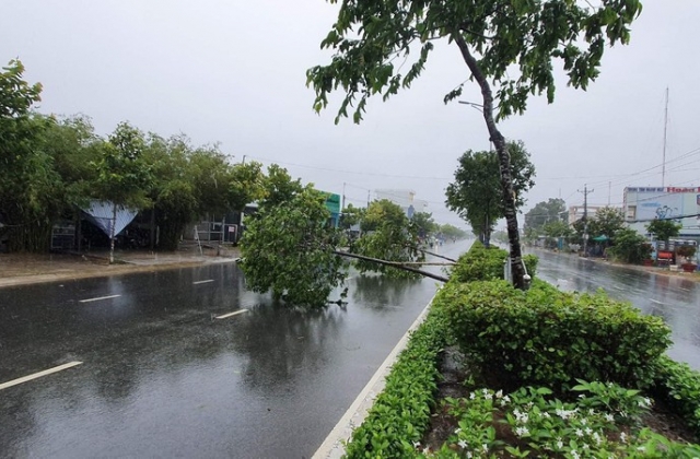 C&agrave; Mau thiệt hại h&agrave;ng tỷ đồng do ảnh hưởng của ho&agrave;n lưu b&atilde;o số 2 g&acirc;y ra